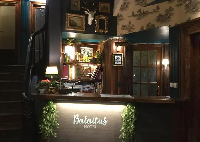 Boutique Balaitus Hotel *